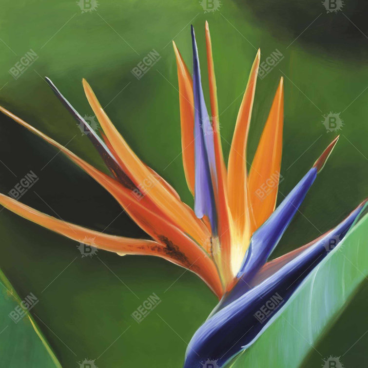 Begin Edition International Inc. Floral Throw Pillow Wayfair